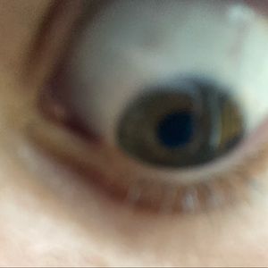 Meet your Posher, Harper